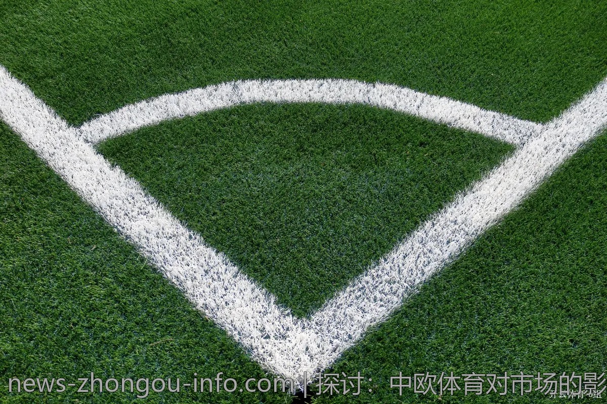 探讨：中欧体育对市场的影响力