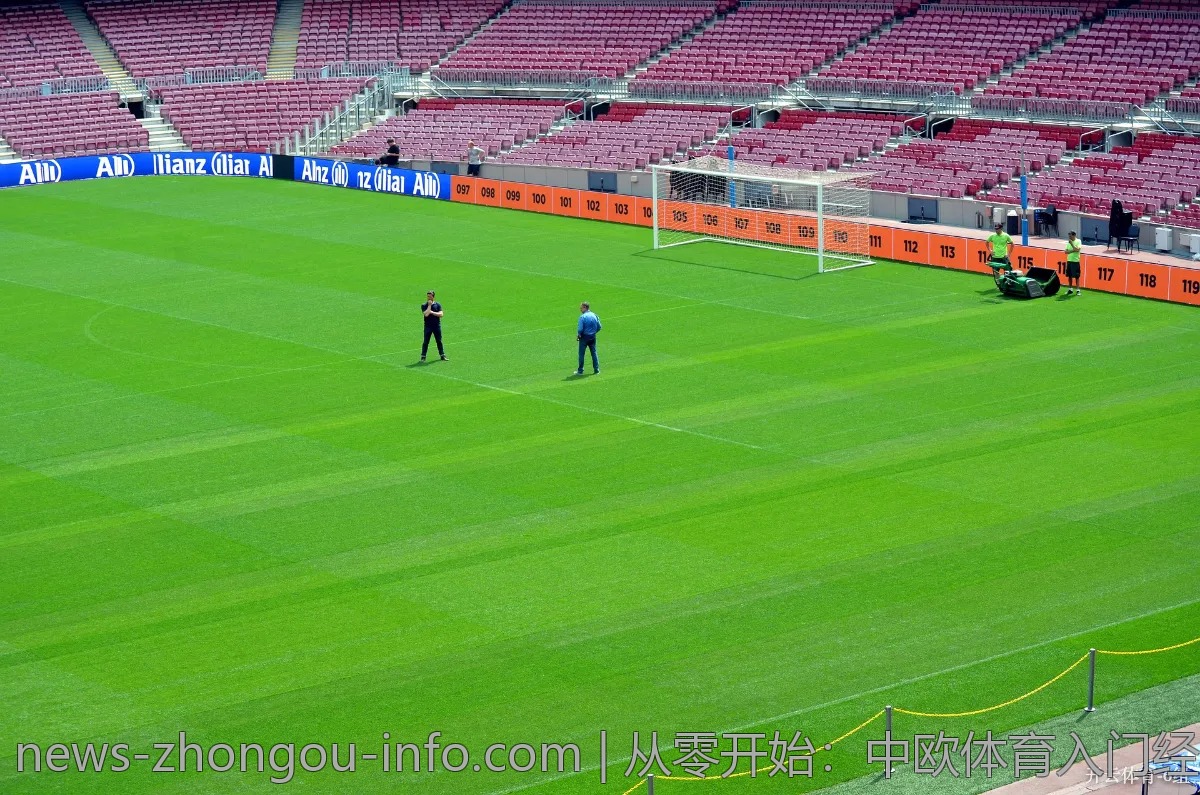 从零开始：中欧体育入门经验分享