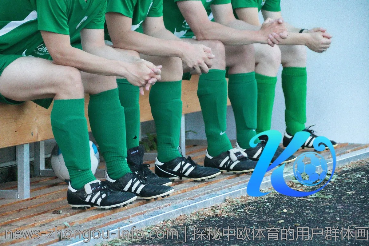 探秘中欧体育的用户群体画像